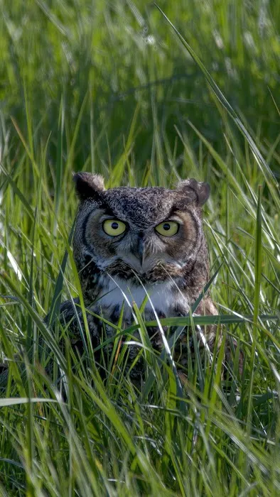 Maplewood Estates Trailer Park Picture 2