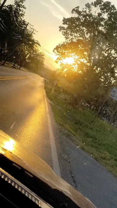 Maplewood Estates Trailer Park Picture 8