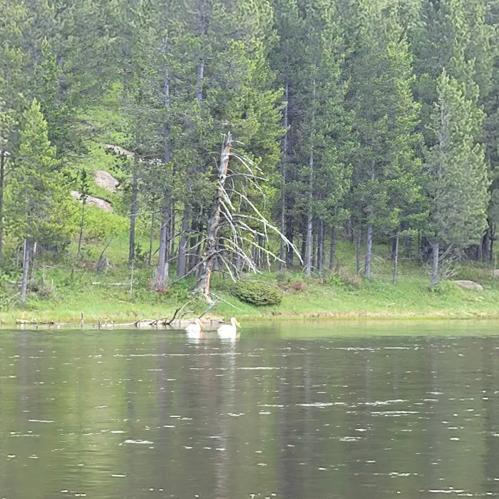 Upper Coffeepot Campground Picture 2