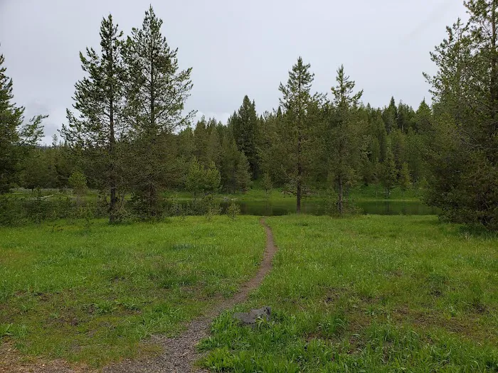 Upper Coffeepot Campground Picture 10