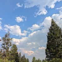 Cottonwood Creek ico