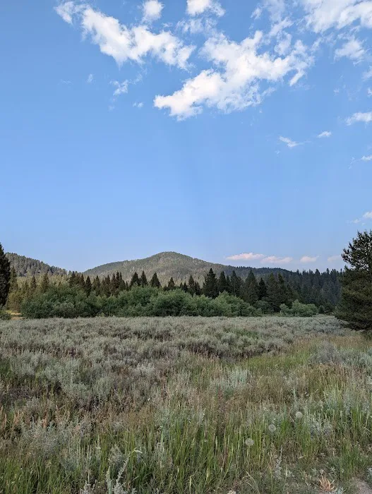 Cottonwood Creek Picture 5