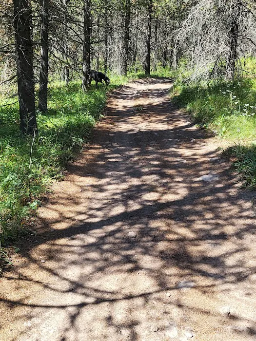 Mill Creek Campground Picture 10