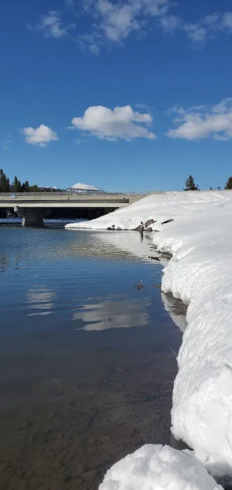 McCrea Bridge Campground Picture 2