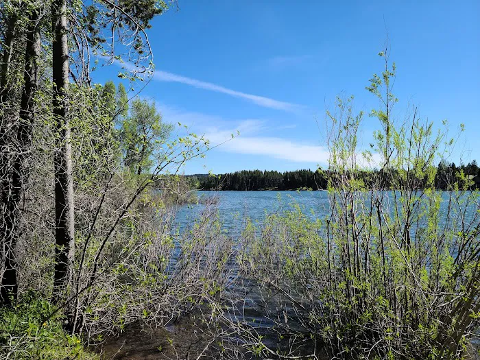 Buttermilk Campground Picture 3