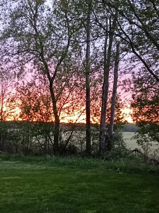 Croswell Estates Picture 3