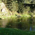 Big Springs Campground Group Area