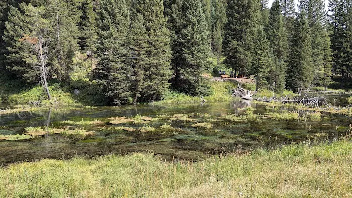 Big Springs Campground Group Area Picture 8