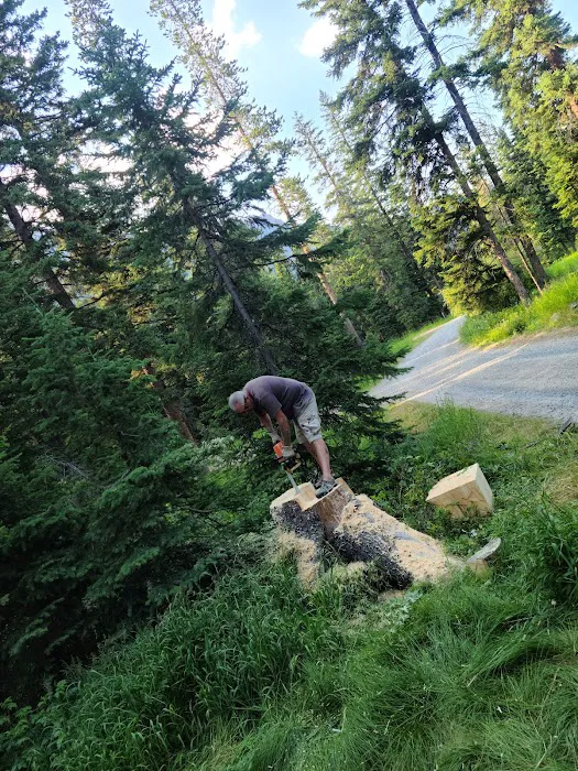 Hicks Park Campground Picture 2