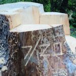 Hicks Park Campground