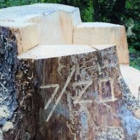 Hicks Park Campground ico