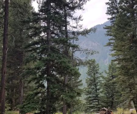 Hells Canyon Campground