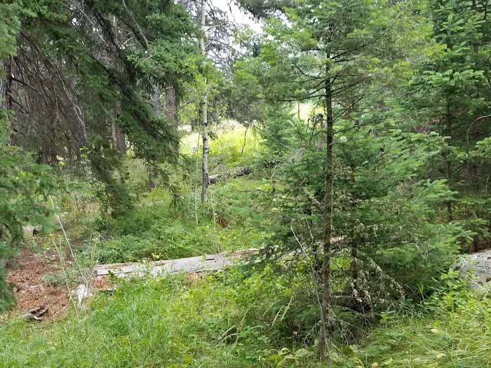 Hells Canyon Campground Picture 8