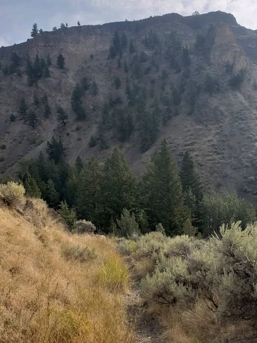 Yellowstone River Trail Picture 7