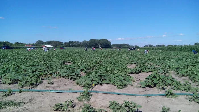 Weatherstone Lakes Picture 8