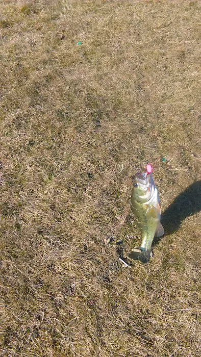 Weatherstone Lakes Picture 9