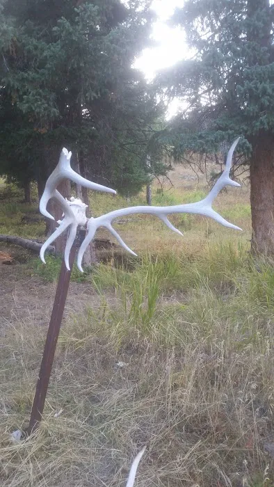 Rescue Creek Picture 4