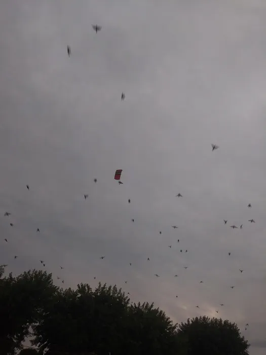 Maplewood Mobile Home Park Picture 7