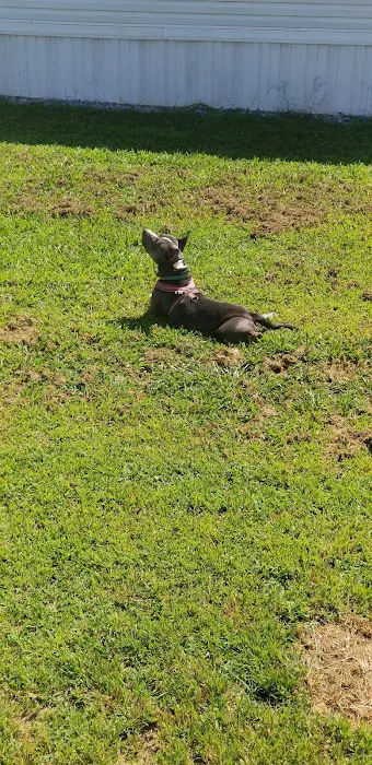 Yarwood Mobile Home Park Picture 10