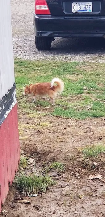 Yarwood Mobile Home Park Picture 3