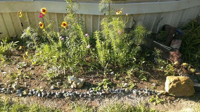 Sunset Village Picture 3