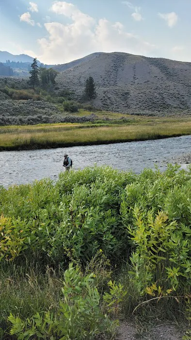 Mammoth Campground Picture 1