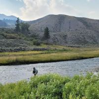 Mammoth Campground ico