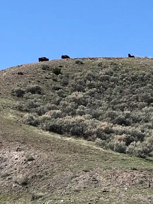 Mammoth Campground Picture 7