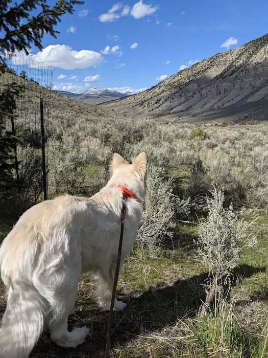 Mammoth Campground Picture 5