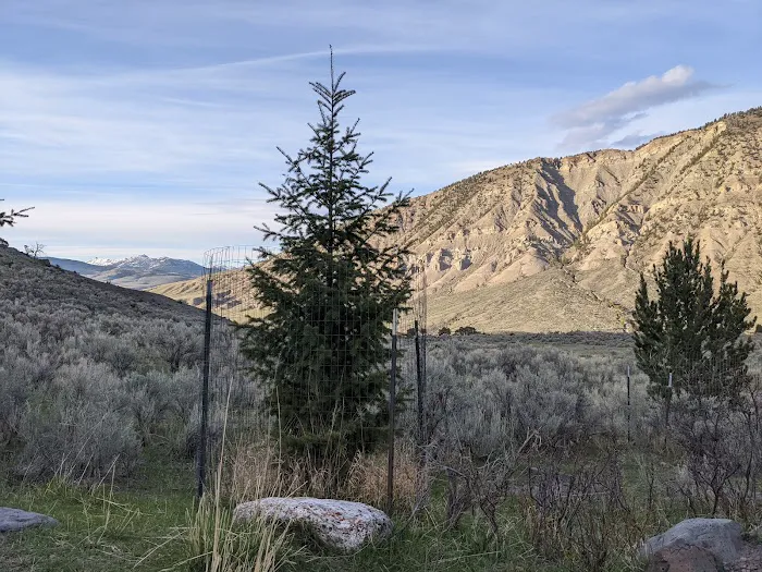 Mammoth Campground Picture 6