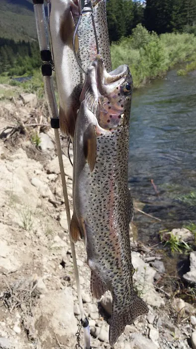 Big Beaver Campground Picture 2