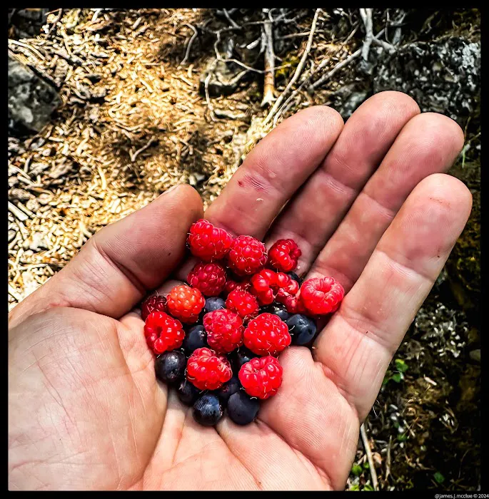 Aspen Campground Picture 4