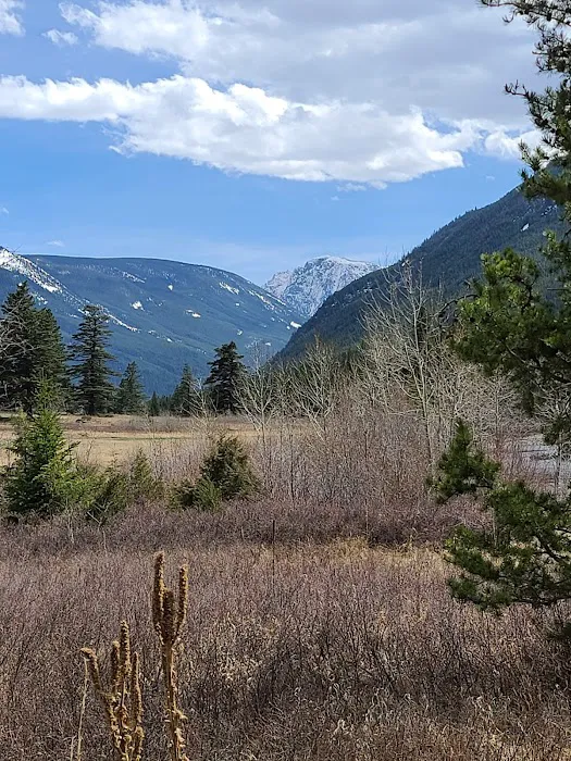 Aspen Campground Picture 1