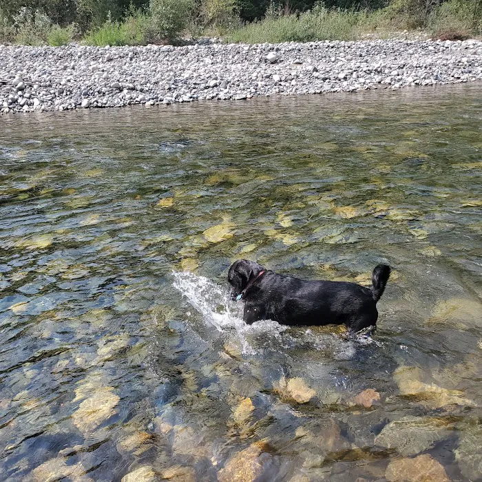 Aspen Campground Picture 7