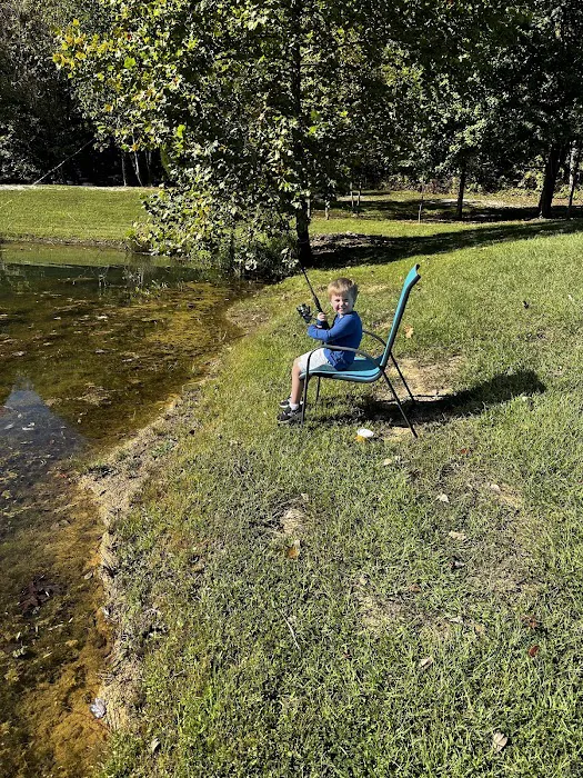 Lake view camping Picture 8