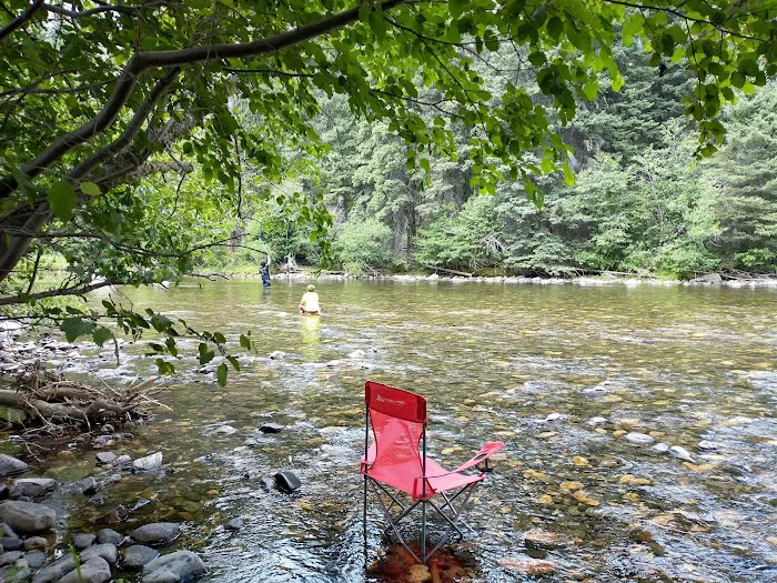 Shipping Corrals Picnic Area Picture 1