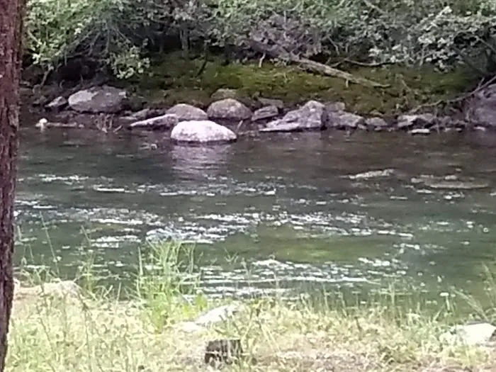 Shipping Corrals Picnic Area Picture 3