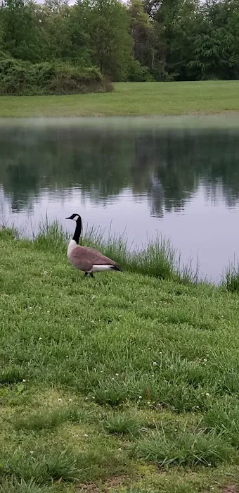 Longview RV Park Picture 4