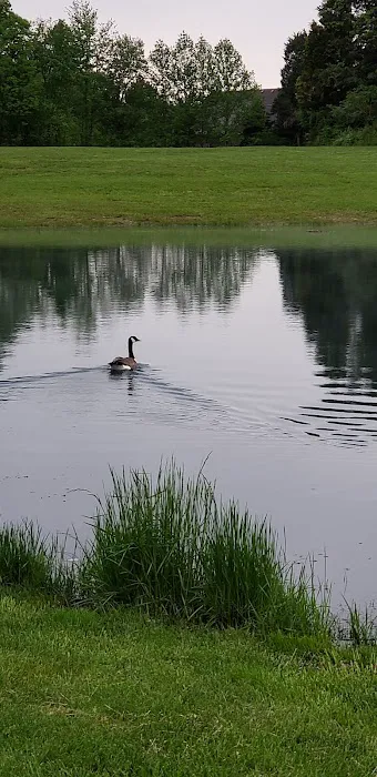 Longview RV Park Picture 8