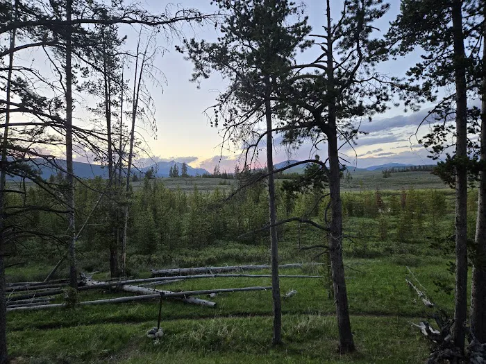 Bighorn Pass Campground Picture 4