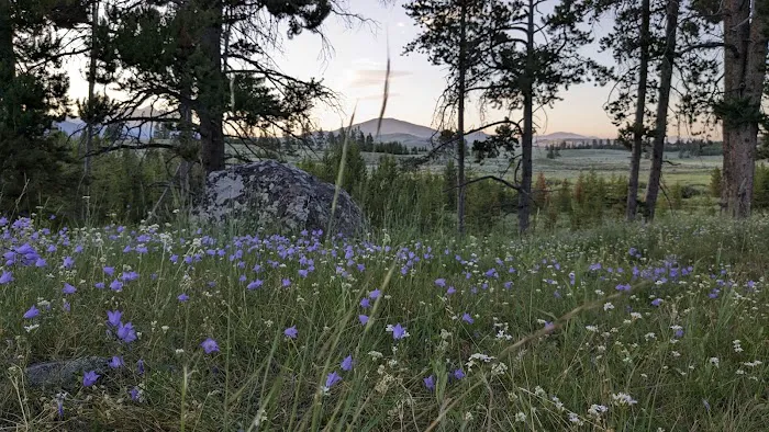 Bighorn Pass Campground Picture 2