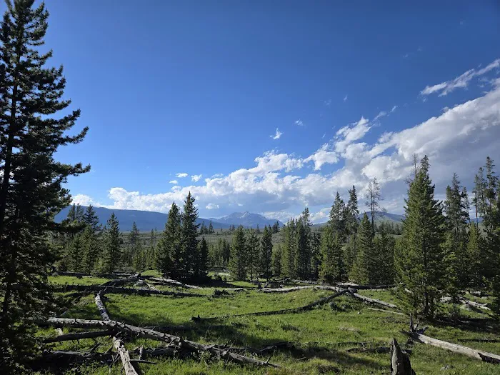 Bighorn Pass Campground Picture 3