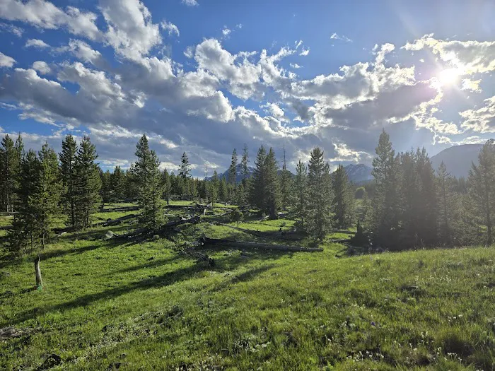 Bighorn Pass Campground Picture 6