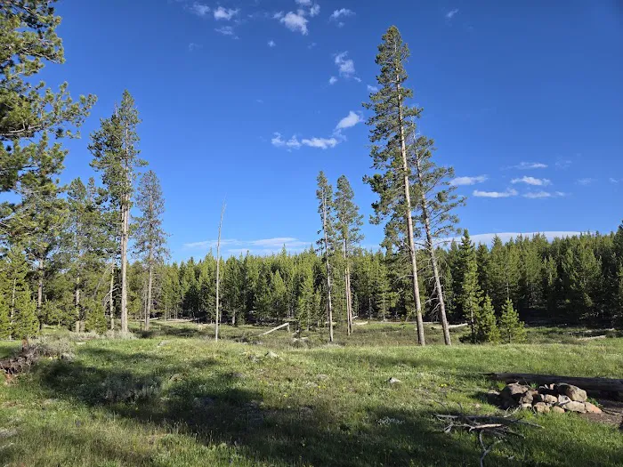 Bighorn Pass Campground Picture 5