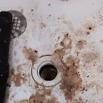 Oakwood Mobile & RV Estates