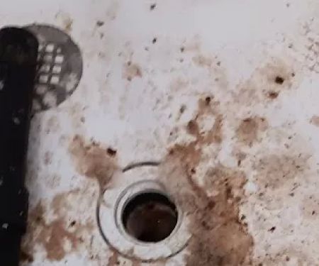 Oakwood Mobile & RV Estates