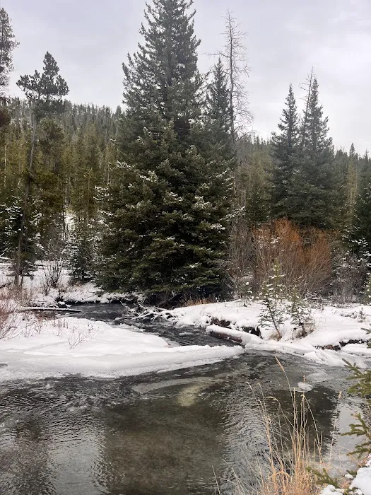 Moose Creek Campground Picture 3