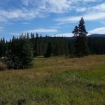 Moose Creek Campground