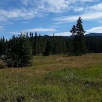 Moose Creek Campground ico