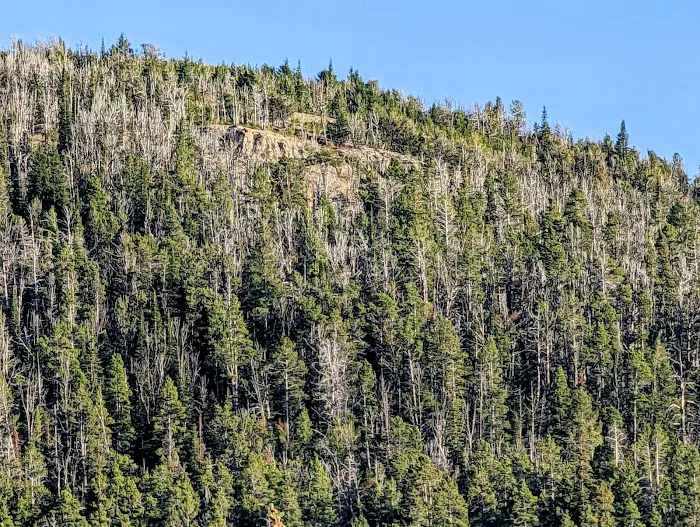 Kings Hill Campground Picture 2